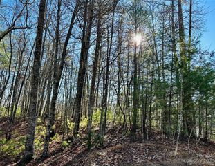 71 Turkey Trot Trail 16, Marshall, NC 28753