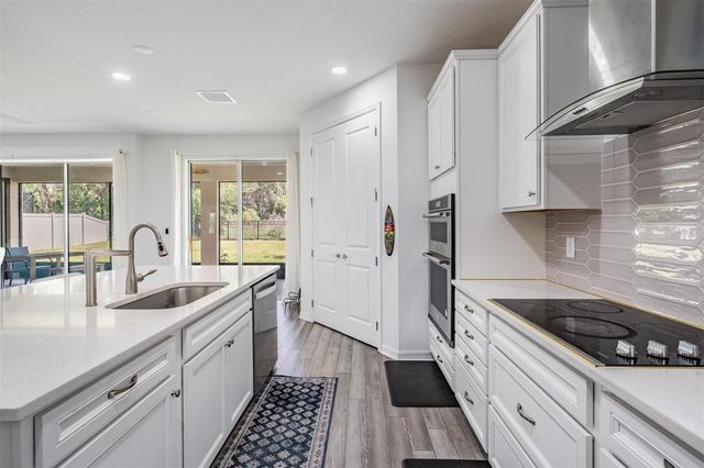 9405 IBIS GROVE BOULEVARD, Wesley Chapel, FL 33545