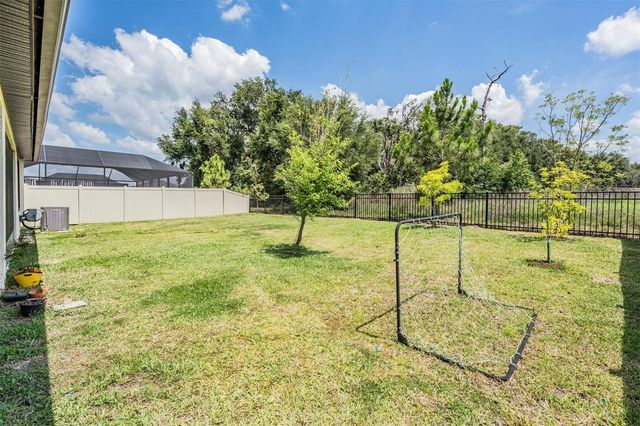 9405 IBIS GROVE BOULEVARD, Wesley Chapel, FL 33545