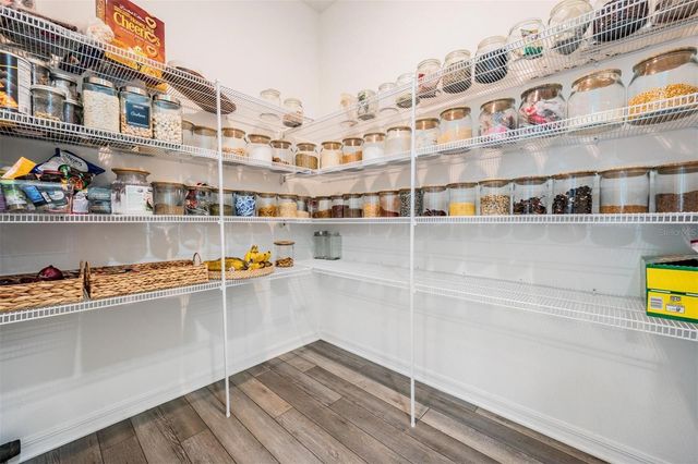 9405 IBIS GROVE BOULEVARD, Wesley Chapel, FL 33545