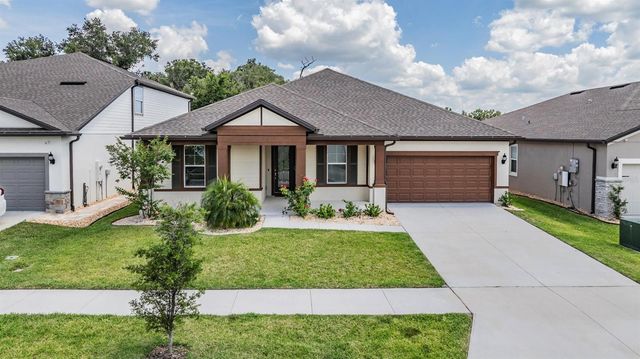 9405 IBIS GROVE BOULEVARD, Wesley Chapel, FL 33545
