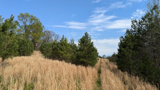 0 Meadows Rd, Portland, TN 37148