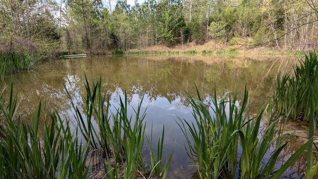 0 Meadows Rd, Portland, TN 37148