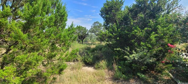 LOT 33 Park Grove, Spring Branch, TX 78070