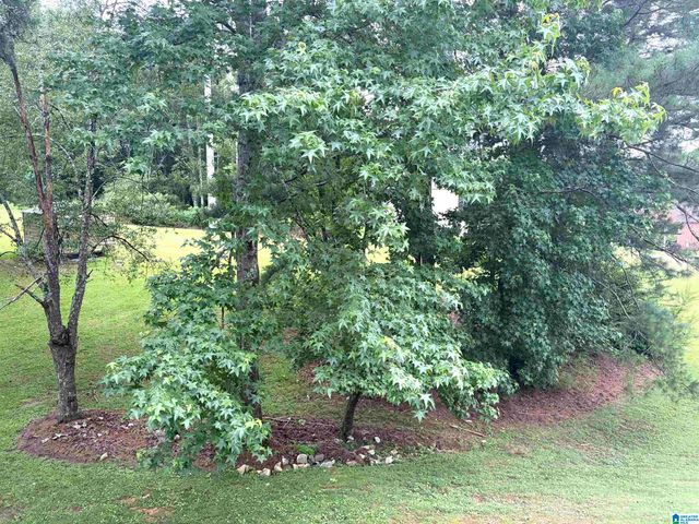 6604 CRYSTAL LANE, Mount Olive, AL 35117
