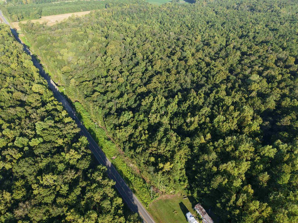 TBD Adrian Hwy., Loris, SC 29569 — photo 2