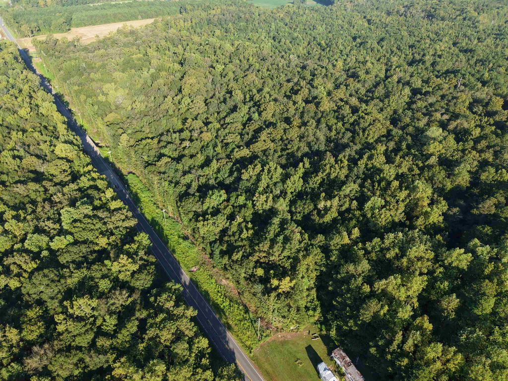 TBD Adrian Hwy., Loris, SC 29569 — photo 3