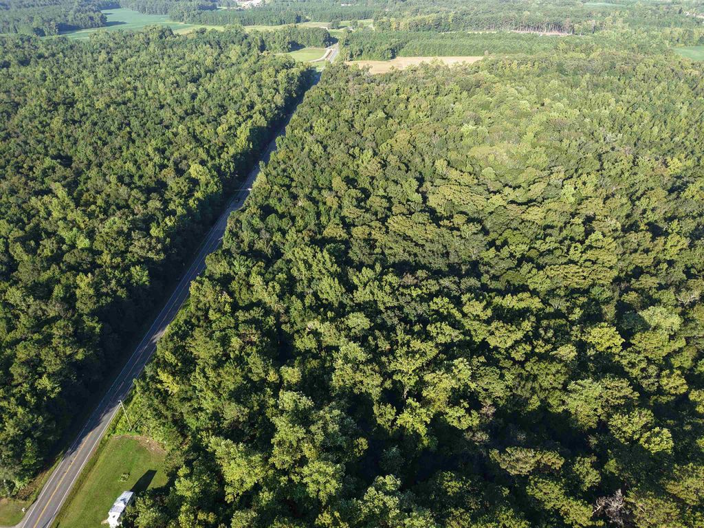 TBD Adrian Hwy., Loris, SC 29569 — photo 4