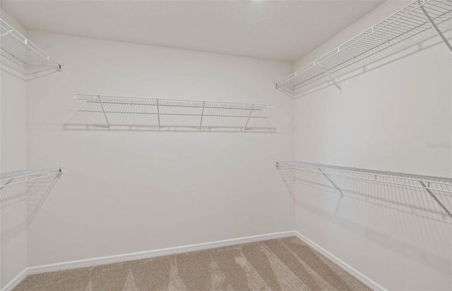 1431 HAMILTON WAY, Lake Alfred, FL 33850