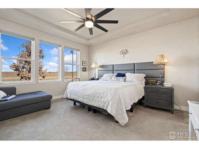 6768 Castello St, Timnath, CO 80547