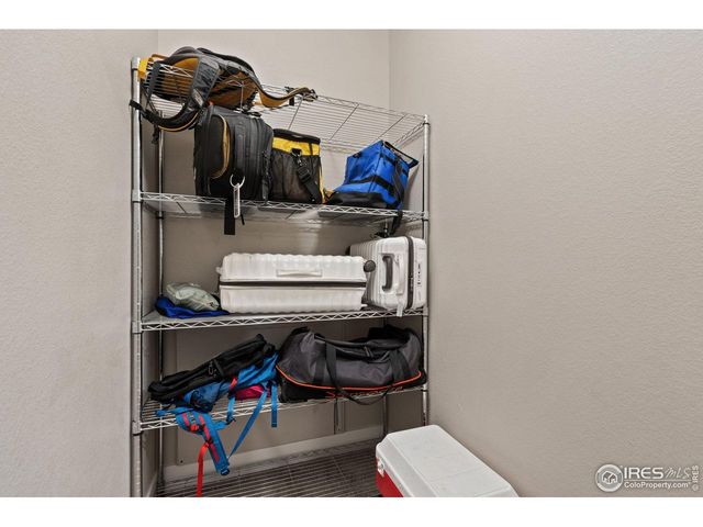 6768 Castello St, Timnath, CO 80547