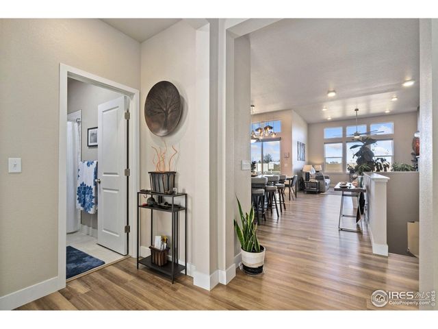 6768 Castello St, Timnath, CO 80547