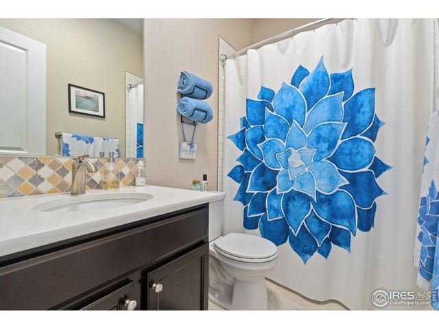 6768 Castello St, Timnath, CO 80547