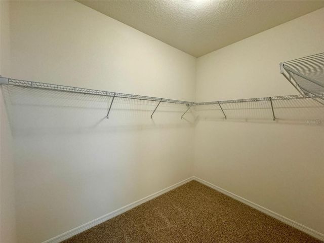 16085 SCARPETTA STREET, Winter Garden, FL 34787