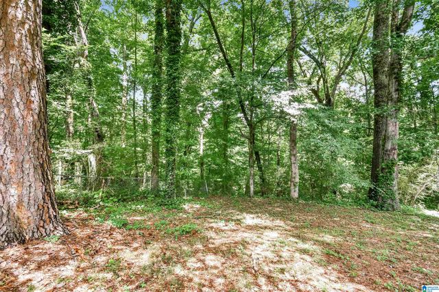 1032 SANDYBROOK CIRCLE, Brookside, AL 35214