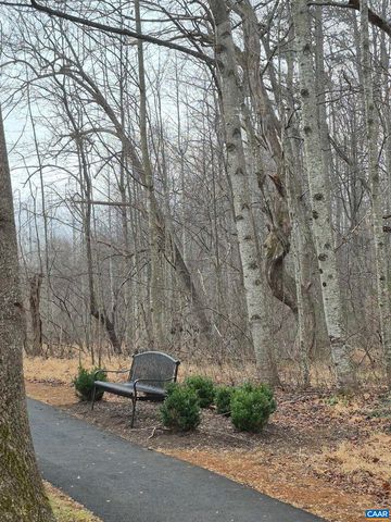 598 MISTLAND TRL, Ruckersville, VA 22968