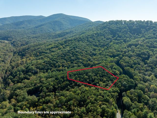 Tract 1 Turniptown Road, Ellijay, GA 30536