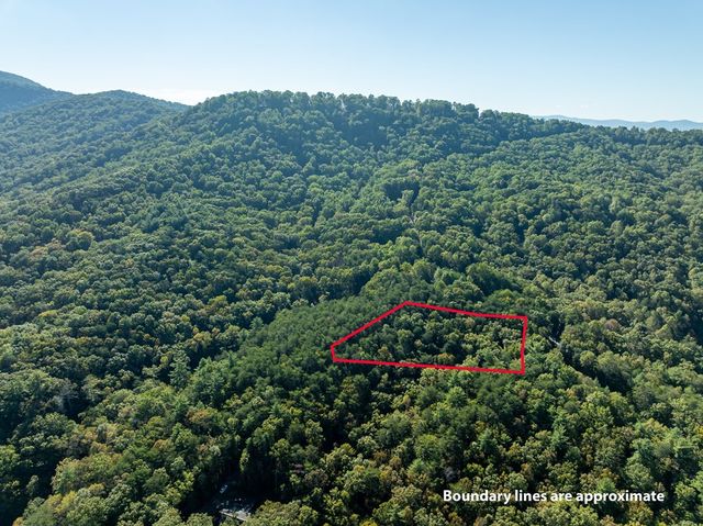 Tract 1 Turniptown Road, Ellijay, GA 30536