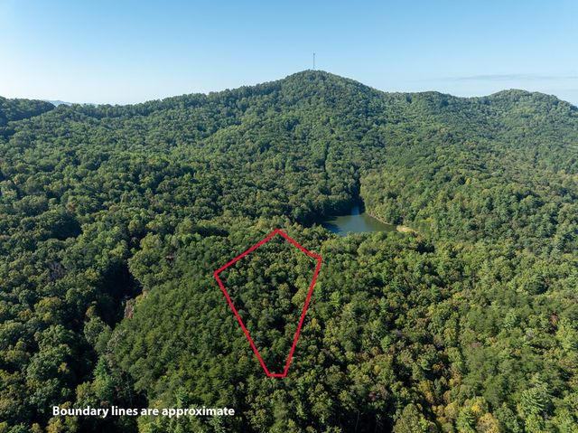 Tract 1 Turniptown Road, Ellijay, GA 30536