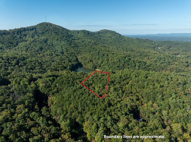 Tract 1 Turniptown Road, Ellijay, GA 30536