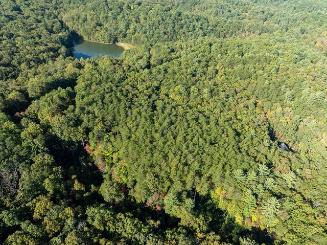 Tract 1 Turniptown Road, Ellijay, GA 30536