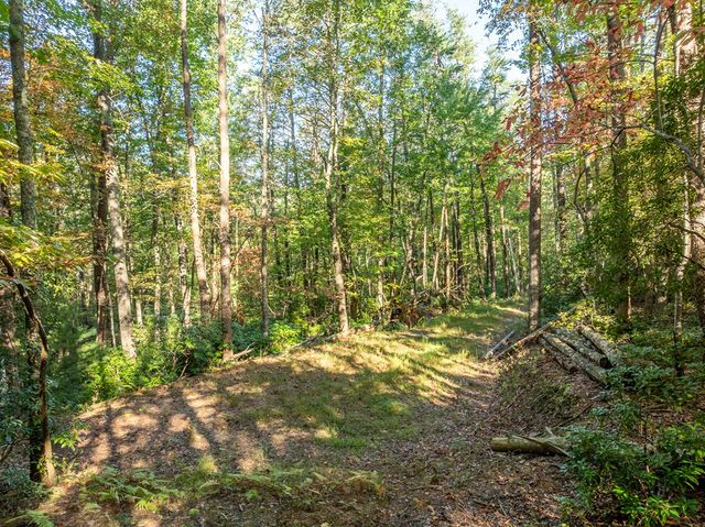 Tract 1 Turniptown Road, Ellijay, GA 30536