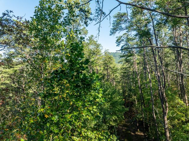 Tract 1 Turniptown Road, Ellijay, GA 30536