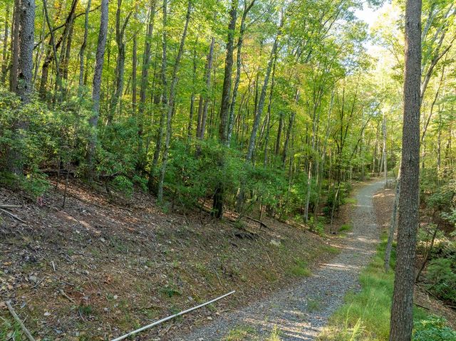 Tract 1 Turniptown Road, Ellijay, GA 30536