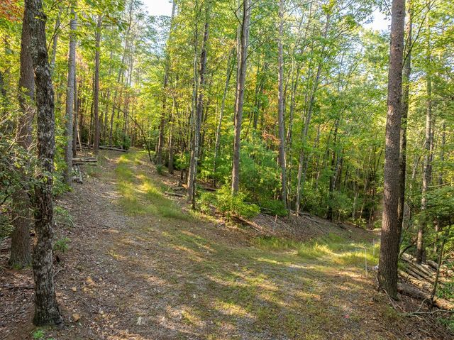 Tract 1 Turniptown Road, Ellijay, GA 30536