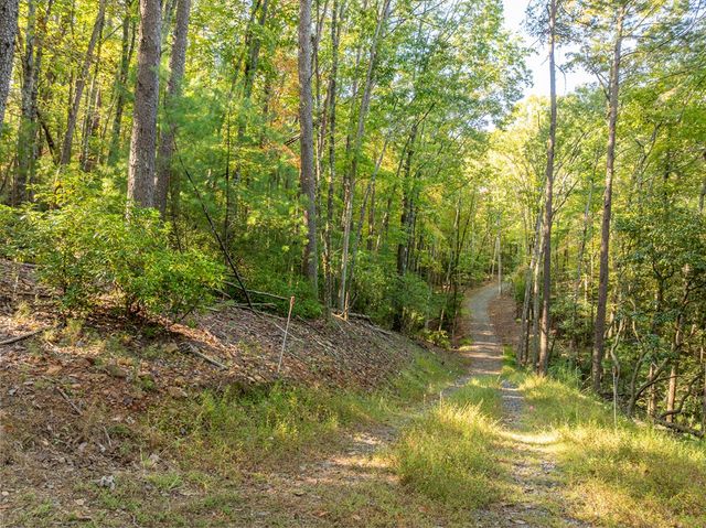 Tract 1 Turniptown Road, Ellijay, GA 30536