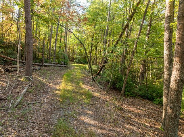 Tract 1 Turniptown Road, Ellijay, GA 30536