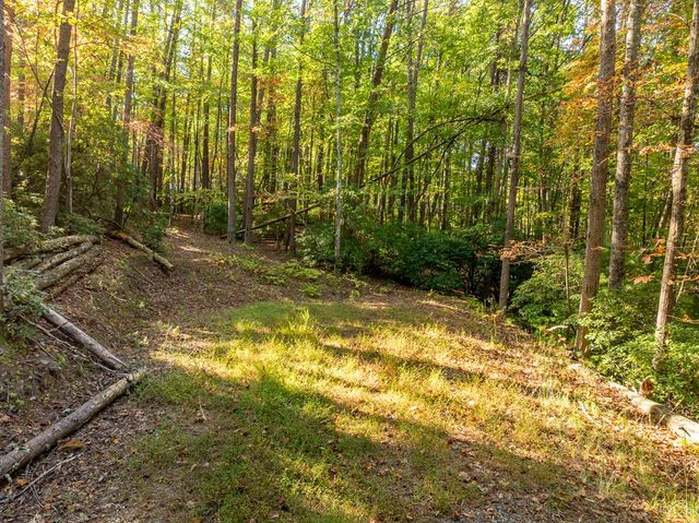 Tract 1 Turniptown Road, Ellijay, GA 30536