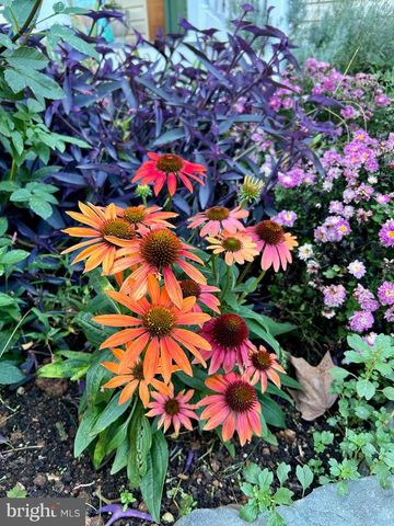 508 BAY HILLS DR, Arnold, MD 21012