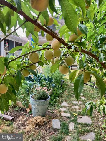 508 BAY HILLS DR, Arnold, MD 21012