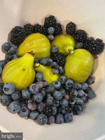 508 BAY HILLS DR, Arnold, MD 21012