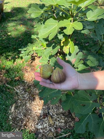 508 BAY HILLS DR, Arnold, MD 21012