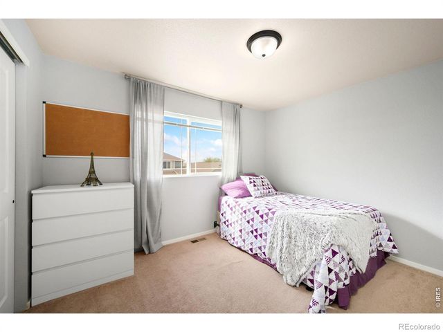 3077 Carney Street, Loveland, CO 80538