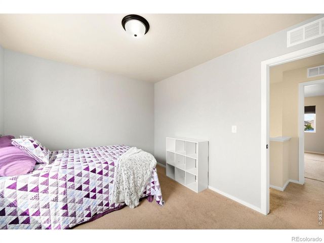 3077 Carney Street, Loveland, CO 80538