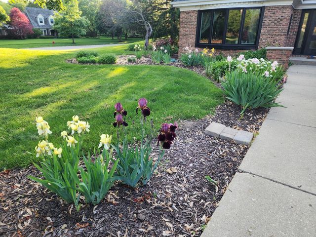 980 Persimmon Court, St. Charles, IL 60174