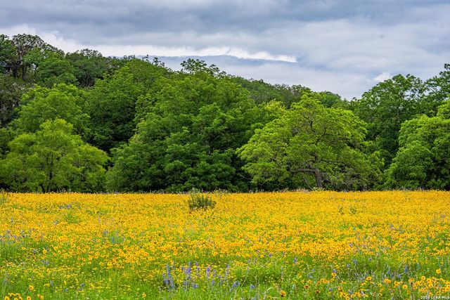 1589 FM 1340, Hunt, TX 78024