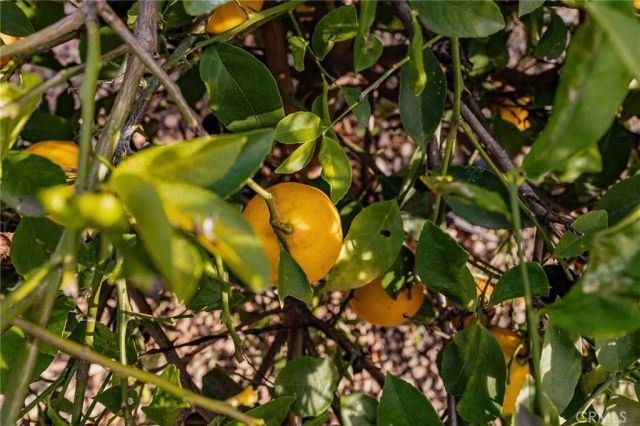 13381 Magnolia 35, Corona, CA 92879