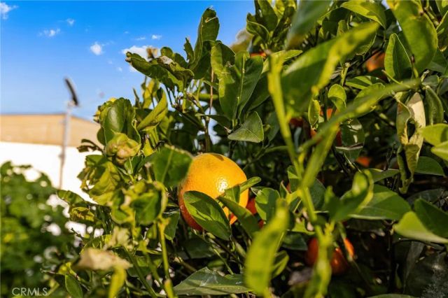 13381 Magnolia 35, Corona, CA 92879