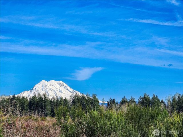 1631 334th Street E, Roy, WA 98580