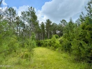 Sones Chapel Rd Road, Carriere, MS 39426