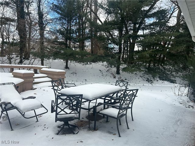 9547 Tipperary Lane, Mentor, OH 44060