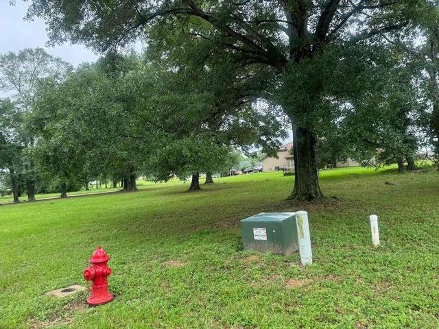 Lot 63 Birdie Drive, Hempstead, TX 77445