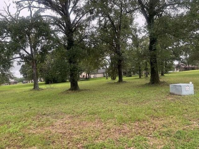 Lot 63 Birdie Drive, Hempstead, TX 77445