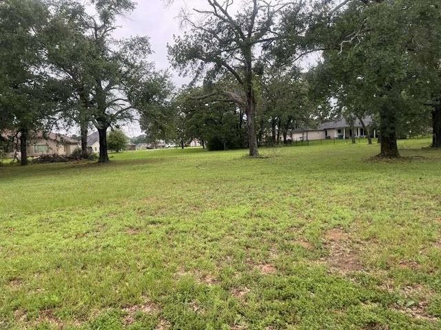 Lot 63 Birdie Drive, Hempstead, TX 77445