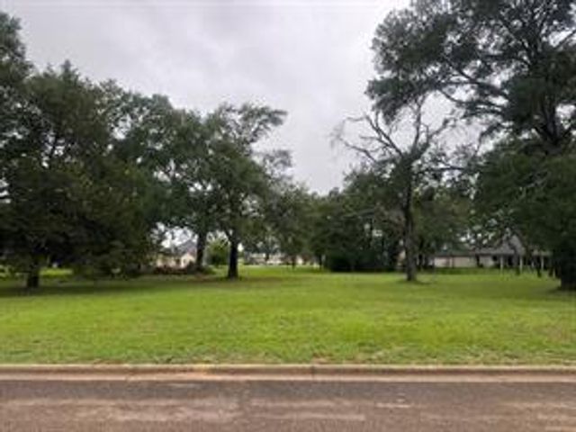 Lot 63 Birdie Drive, Hempstead, TX 77445