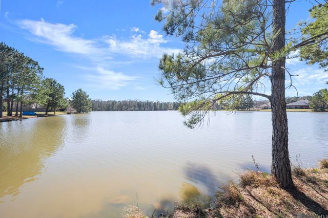 12480 Three Lakes Dr, Walker, LA 70785